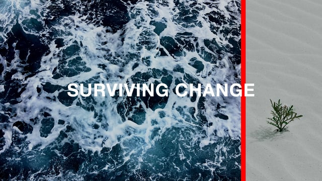 Surviving Change