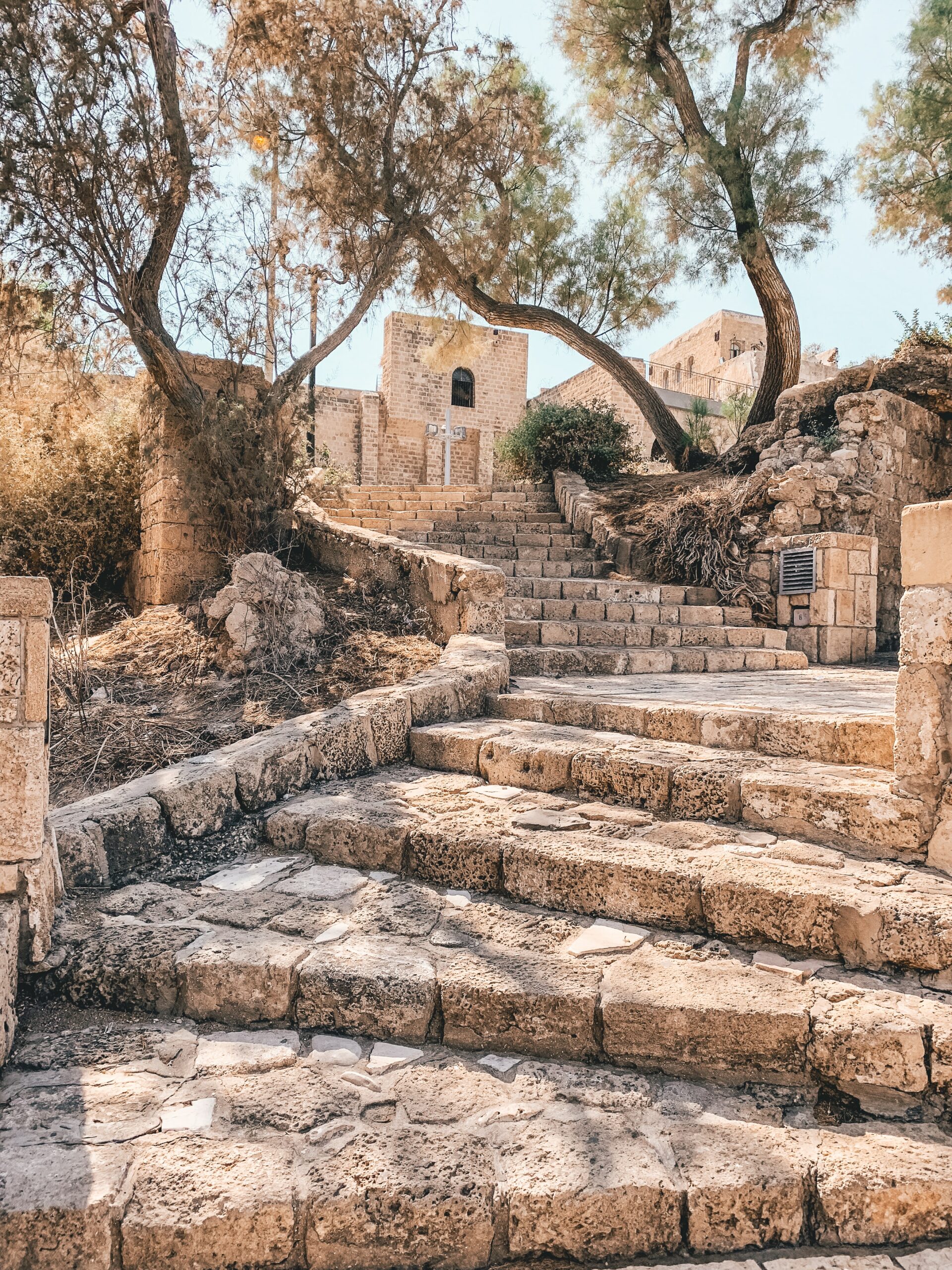 pontus-wellgraf-phdR8e9zOzg-unsplash