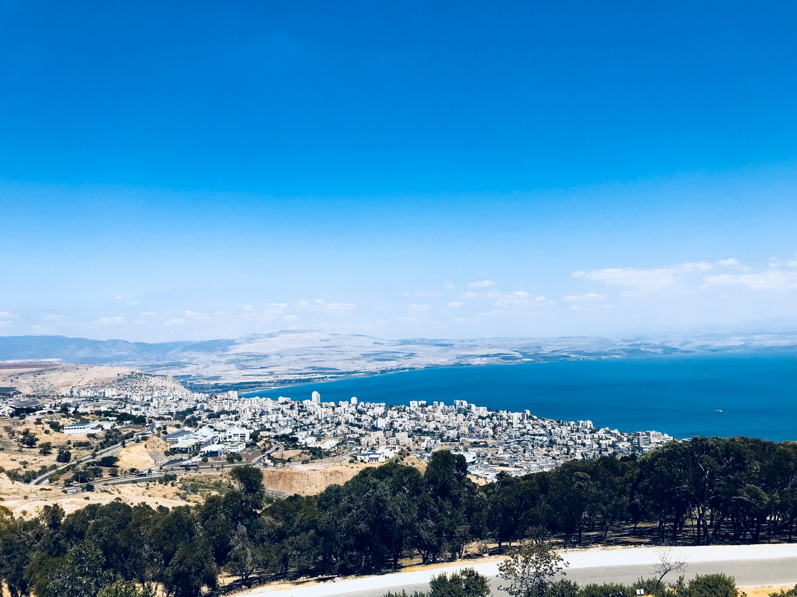 thalia-tran-0kgK7yxqIuw-unsplash
